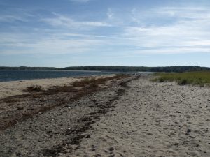 Image of the beach at Harbour Light Campground, Pictou NS. 3