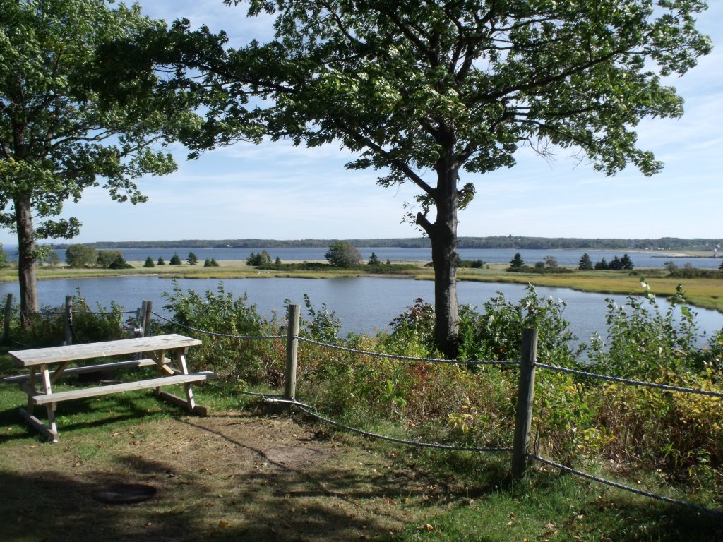 3 Image of sites on the waterfront at Harbour Light Campground.